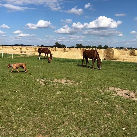 Stara Wozownia W Lusowie Bed & Breakfast