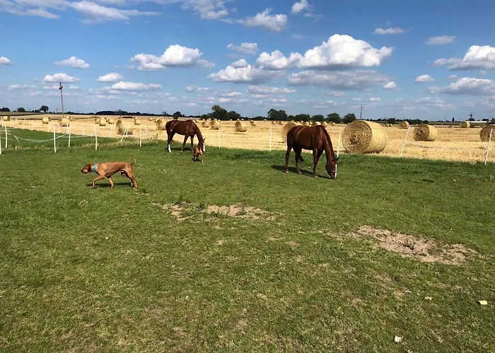 Stara Wozownia W Lusowie Frühstückspension